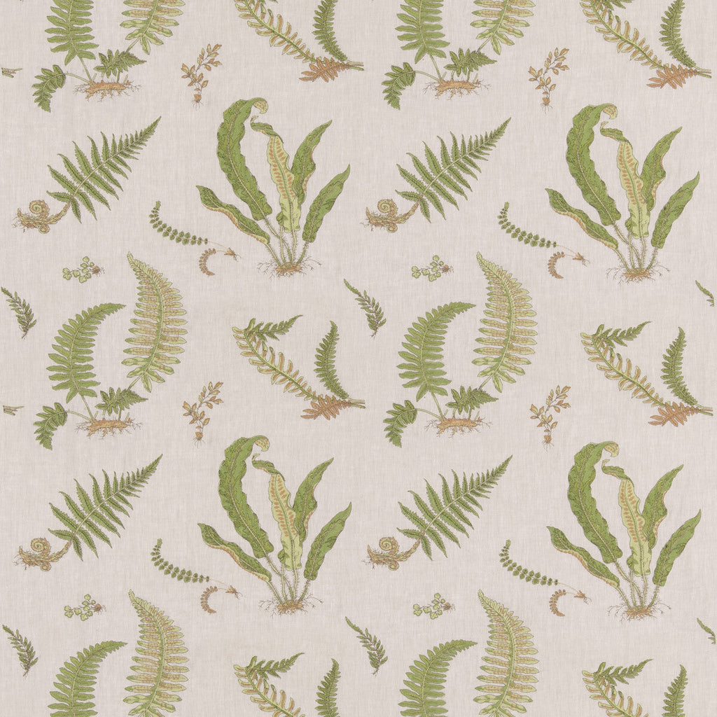 Samples and Purchasing available for Ferns Embroidery - Green/Natural Green By G P & J Baker | Burford |Botanical & Floral  Drapery Embroidery at Designer Wallcoverings and Fabrics