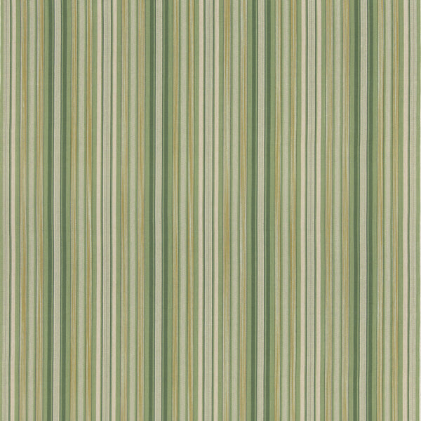 Rainstorm - Green Green By G P & J Baker | G P & J Baker X Kit Kemp Stripes |Stripes  Multipurpose Weave