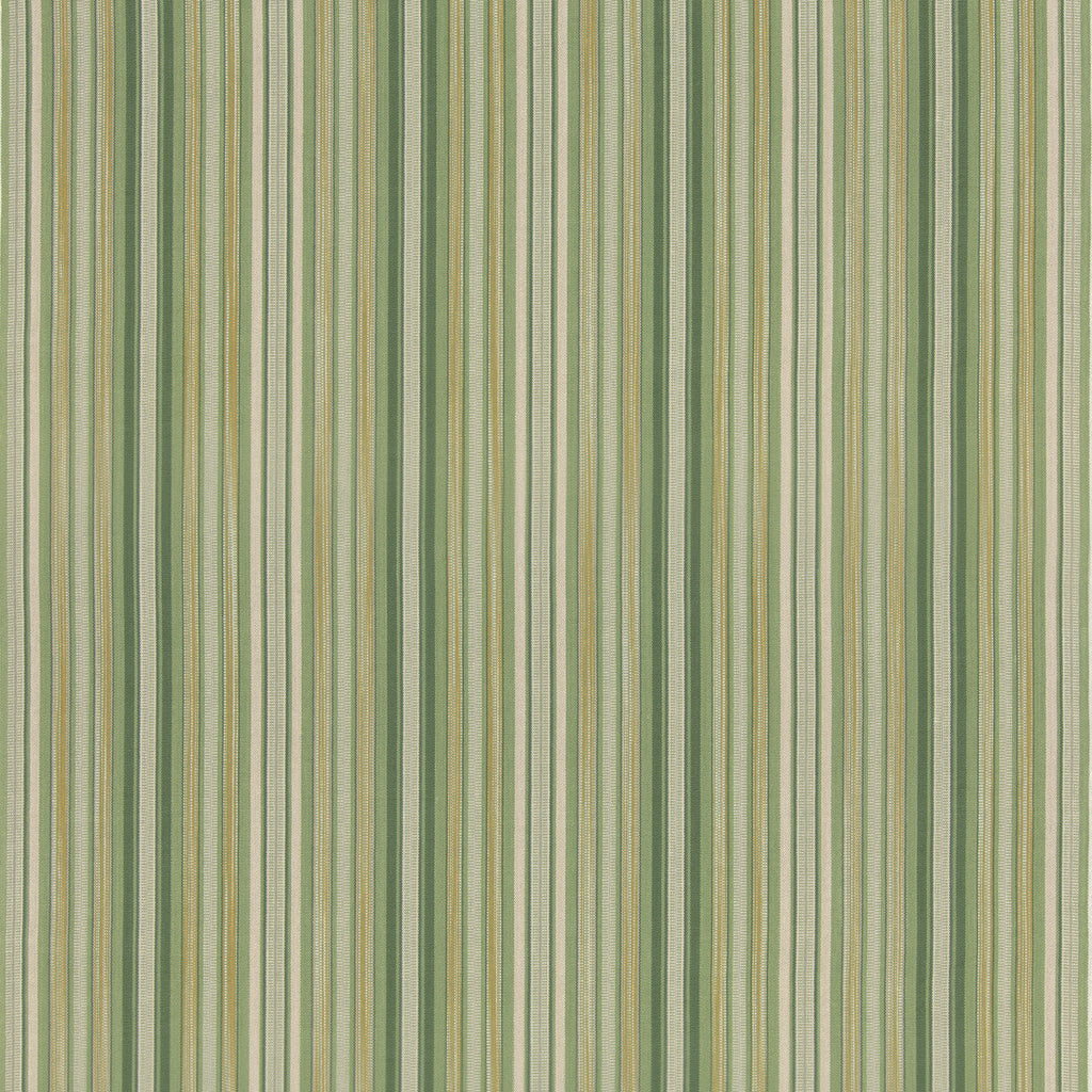 Samples and Purchasing available for Rainstorm - Green Green By G P & J Baker | G P & J Baker X Kit Kemp Stripes |Stripes  Multipurpose Weave at Designer Wallcoverings and Fabrics