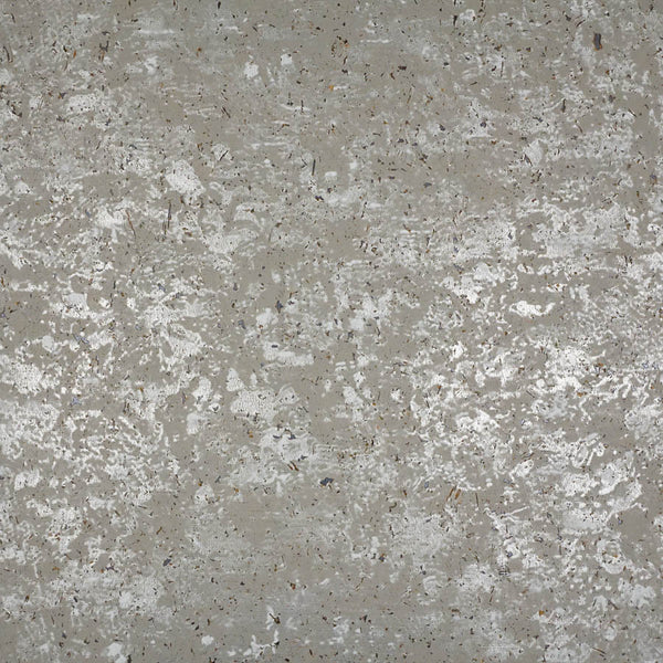 Le Birch Tree Bark Paper Wallpaper | Phillipe Romano