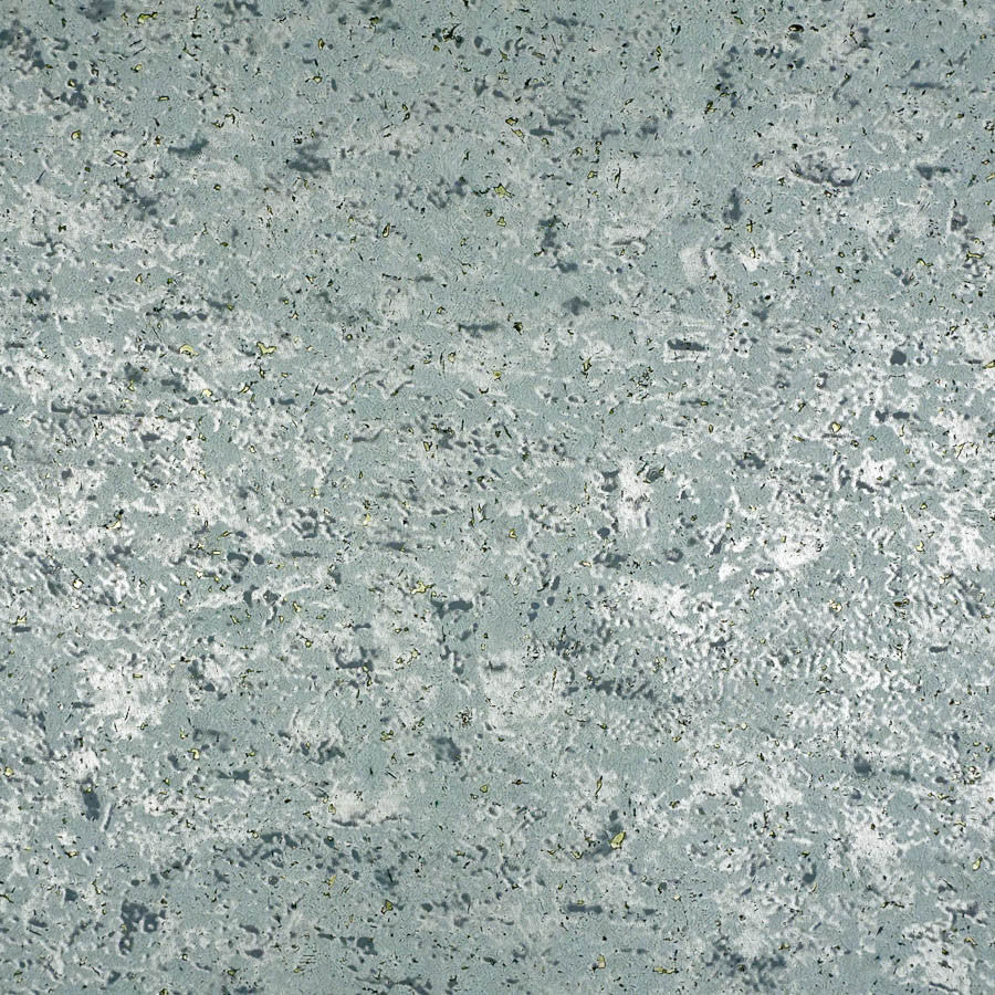 Le Birch Tree Bark Water Wallpaper | Phillipe Romano