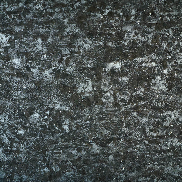 Le Birch Tree Bark River Wallpaper | Phillipe Romano