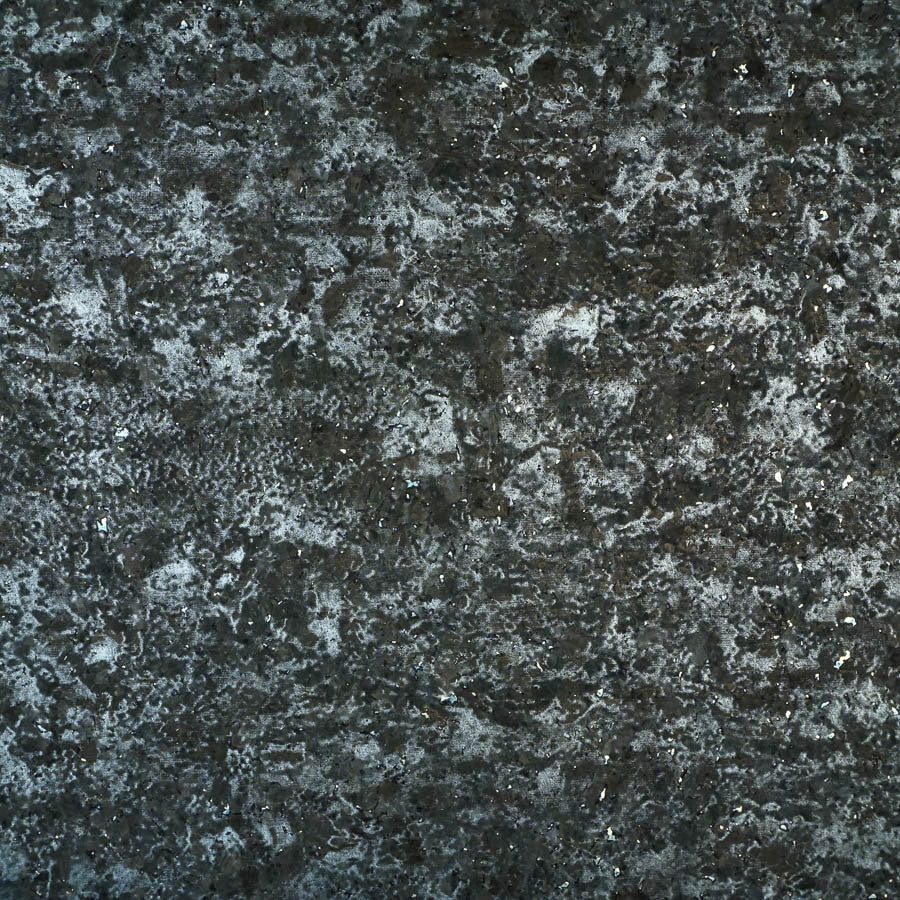 Le Birch Tree Bark River Wallpaper | Phillipe Romano