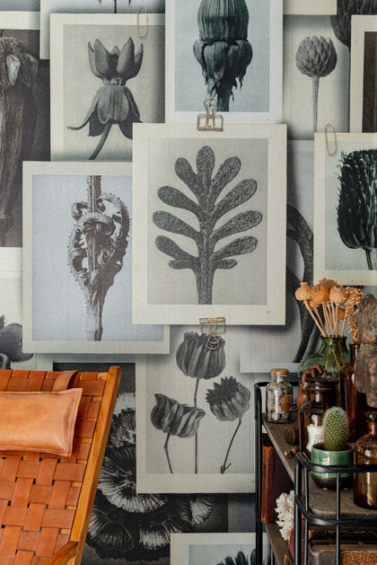 Blossfeldt's Art Forms - Taupe, Grey, Beige Wallcovering | Mind the Gap