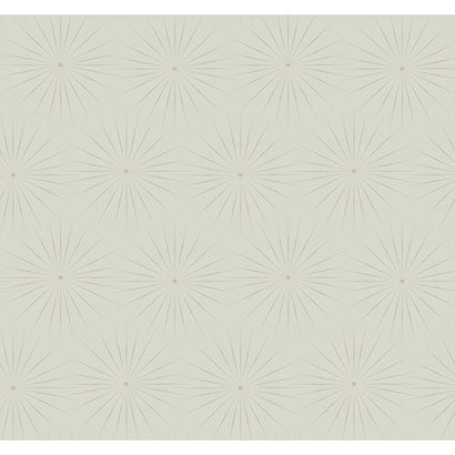 Starlight Wallpaper | Jeffrey Stevens