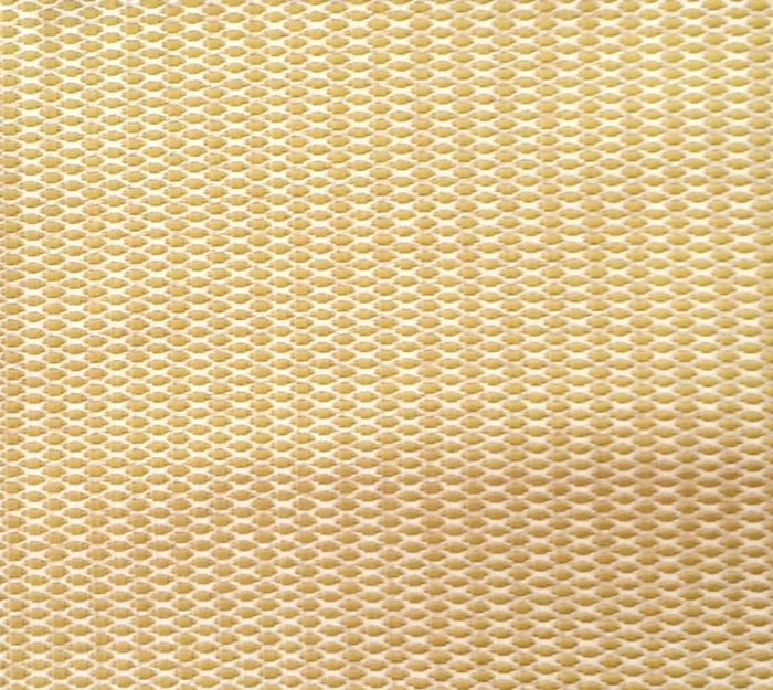Ventura - Cactus Wallcovering | Phillipe Romano