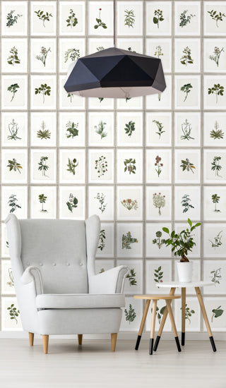 Botany - White, Green, Grey, Brown Wallcovering | Mind the Gap