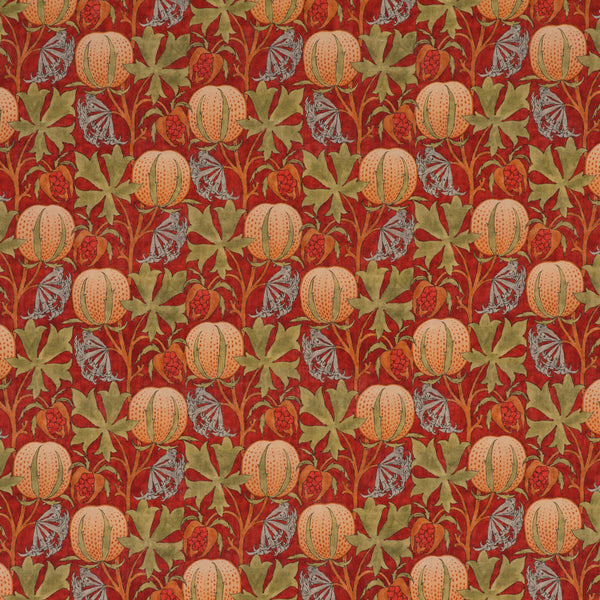 Pumpkins - Red/Green  By G P & J Baker | Originals V |  Multipurpose Print