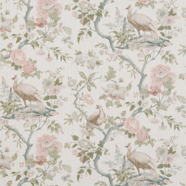 Broughton Rose - Blush Pink By G P & J Baker | Ashmore |Animal/Insects  Multipurpose Print