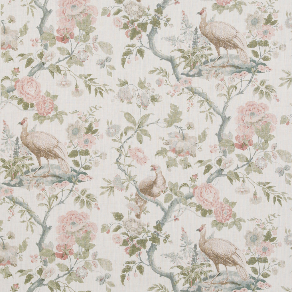 Broughton Rose - Blush Pink By G P & J Baker | Ashmore |Animal/Insects  Multipurpose Print