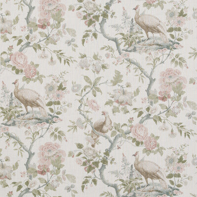 Samples and Purchasing available for Broughton Rose - Blush Pink By G P & J Baker | Ashmore |Animal/Insects  Multipurpose Print at Designer Wallcoverings and Fabrics