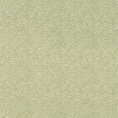 Samples and Purchasing available for Tansy - Green Green By G P & J Baker | House Small Prints |Botanical & Floral  Multipurpose Print at Designer Wallcoverings and Fabrics