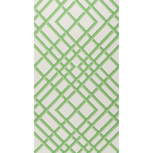 Treillage Sidewall - Leaf Green By Brunschwig & Fils | Volume 56 Print