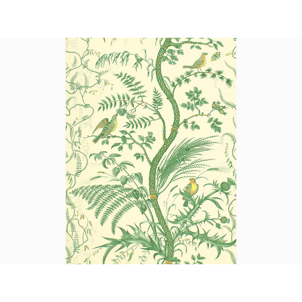 Bird And Thistle - Green Green By Brunschwig & Fils | Toile Wallcovering Print