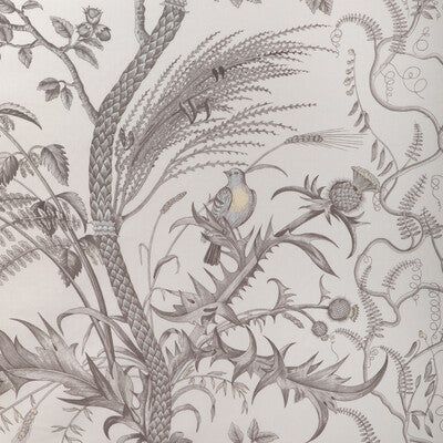 Samples and Purchasing available for Bird And Thistle Cotton Print - Gray Grey By Brunschwig & Fils |  | Toile Multipurpose Print at Designer Wallcoverings and Fabrics
