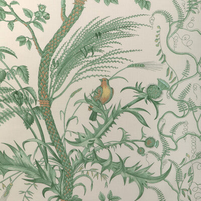 Samples and Purchasing available for Bird And Thistle Cotton Print - Green Green By Brunschwig & Fils |  | Toile Multipurpose Print at Designer Wallcoverings and Fabrics