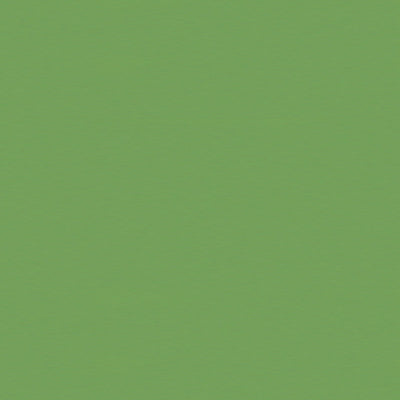 Samples and Purchasing available for Satin La Tour - Vert Green By Brunschwig & Fils |  |Solid Texture Upholstery Silk at Designer Wallcoverings and Fabrics