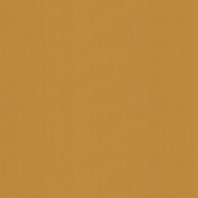 Samples and Purchasing available for Ninon Taffetas - Blonde Light Yellow By Brunschwig & Fils |  | Solid Upholstery Silk at Designer Wallcoverings and Fabrics