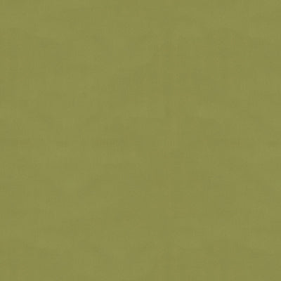 Samples and Purchasing available for Ninon Taffetas - Fern Green By Brunschwig & Fils |  | Solid Upholstery Silk at Designer Wallcoverings and Fabrics