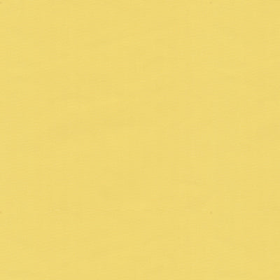 Samples and Purchasing available for Ninon Taffetas - Jaune Yellow By Brunschwig & Fils |  | Solid Upholstery Silk at Designer Wallcoverings and Fabrics