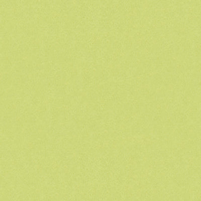 Samples and Purchasing available for Autun Mohair Velvet - Celery Light Green By Brunschwig & Fils |  |Solid Texture Upholstery Mohair at Designer Wallcoverings and Fabrics