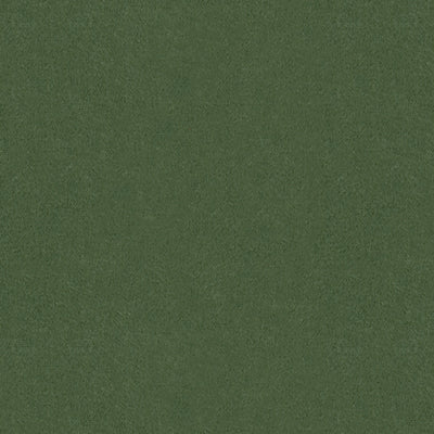 Samples and Purchasing available for Autun Mohair Velvet - Bayleaf Green By Brunschwig & Fils |  |Solid Texture Upholstery Mohair at Designer Wallcoverings and Fabrics