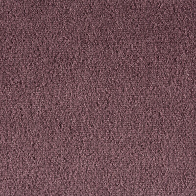 Samples and Purchasing available for Autun Mohair Velvet - Prune Purple By Brunschwig & Fils |  |Solid Texture Upholstery Mohair at Designer Wallcoverings and Fabrics