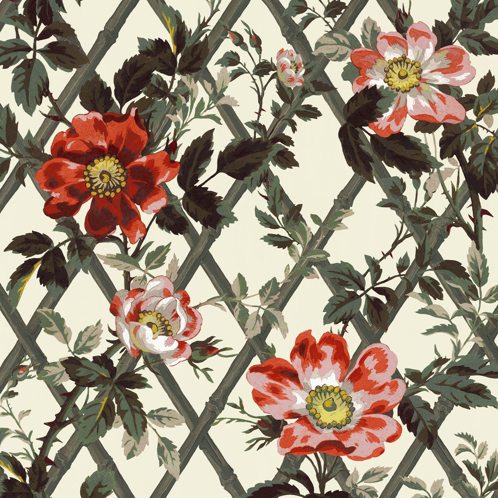 Bryher Rose Cinnabar, Sample