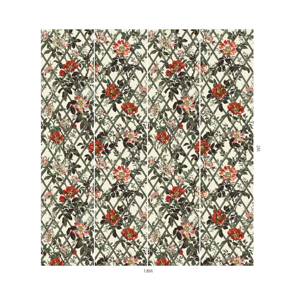 Bryher Rose Cinnabar, Sample
