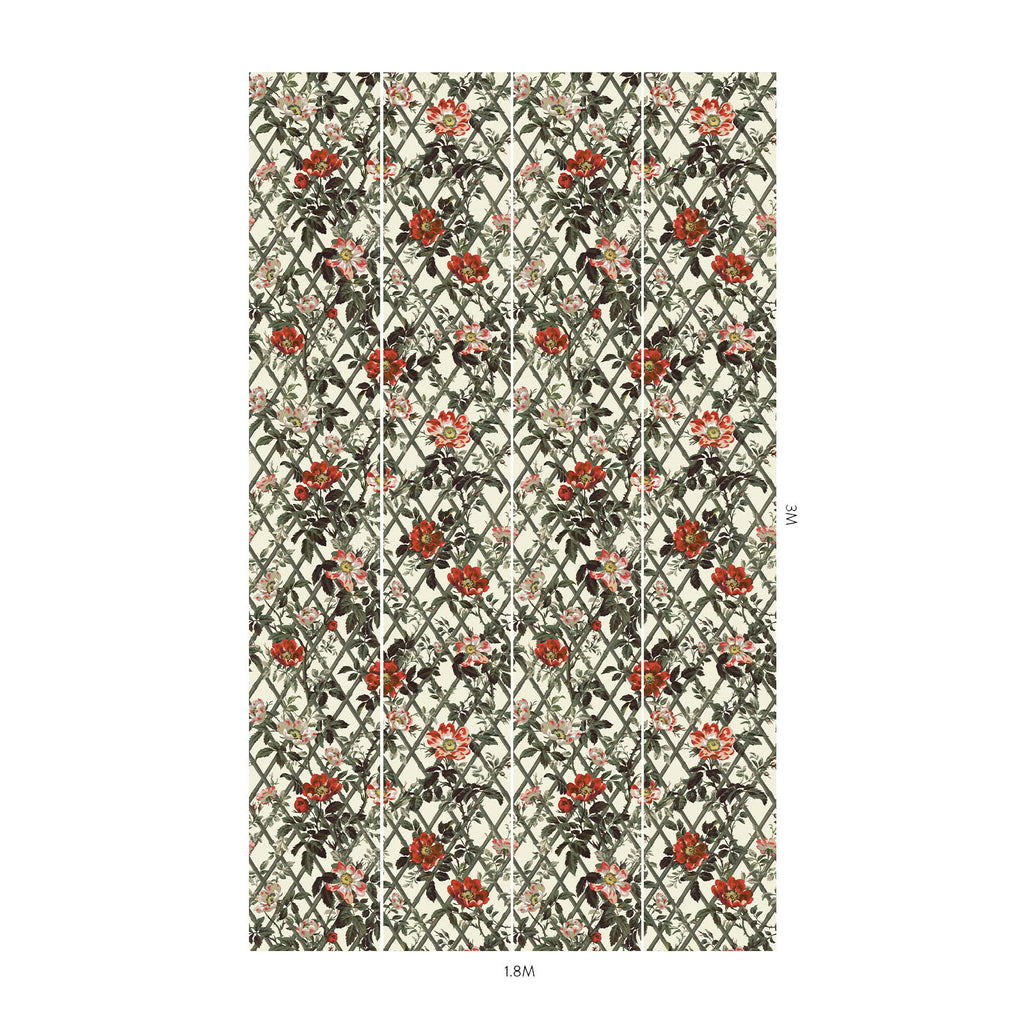 Bryher Rose Cinnabar, Sample