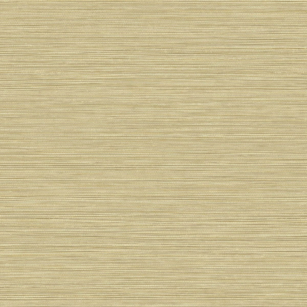 Malibu Grasslands Wallpaper - Contemporary Faux Grasscloth - Sandy Shores | Malibu Wallpaper