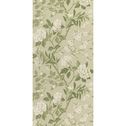 Emperor'S Garden - Soft Green By G P & J Baker | Signature Ii Wallcoverings |Botanical & Floral  Wallcovering