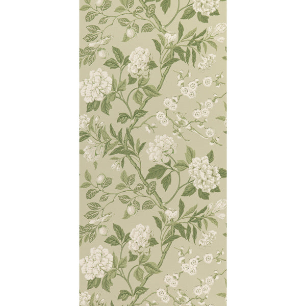 Emperor'S Garden - Soft Green By G P & J Baker | Signature Ii Wallcoverings |Botanical & Floral  Wallcovering