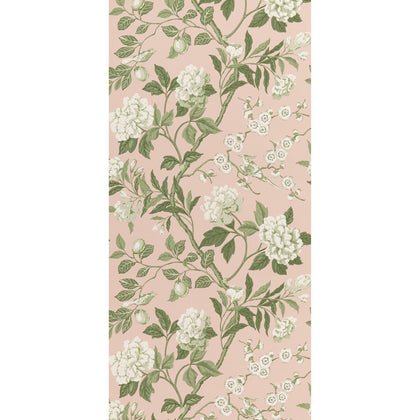 Emperor'S Garden - Blush By G P & J Baker | Signature Ii Wallcoverings |Botanical & Floral  Wallcovering