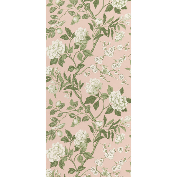 Emperor'S Garden - Blush By G P & J Baker | Signature Ii Wallcoverings |Botanical & Floral  Wallcovering