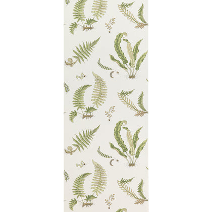 Ferns - Leaf By G P & J Baker | Signature Ii Wallcoverings |Botanical & Floral  Wallcovering Print
