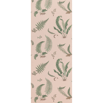 Ferns - Blush By G P & J Baker | Signature Ii Wallcoverings |Botanical & Floral  Wallcovering Print