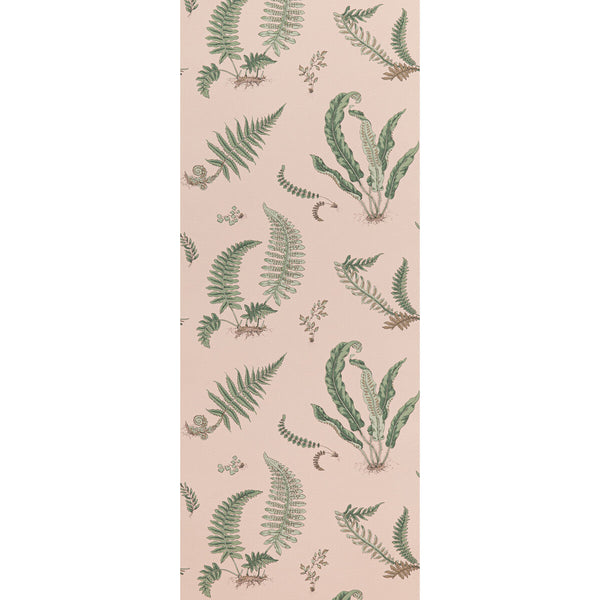 Ferns - Blush By G P & J Baker | Signature Ii Wallcoverings |Botanical & Floral  Wallcovering Print