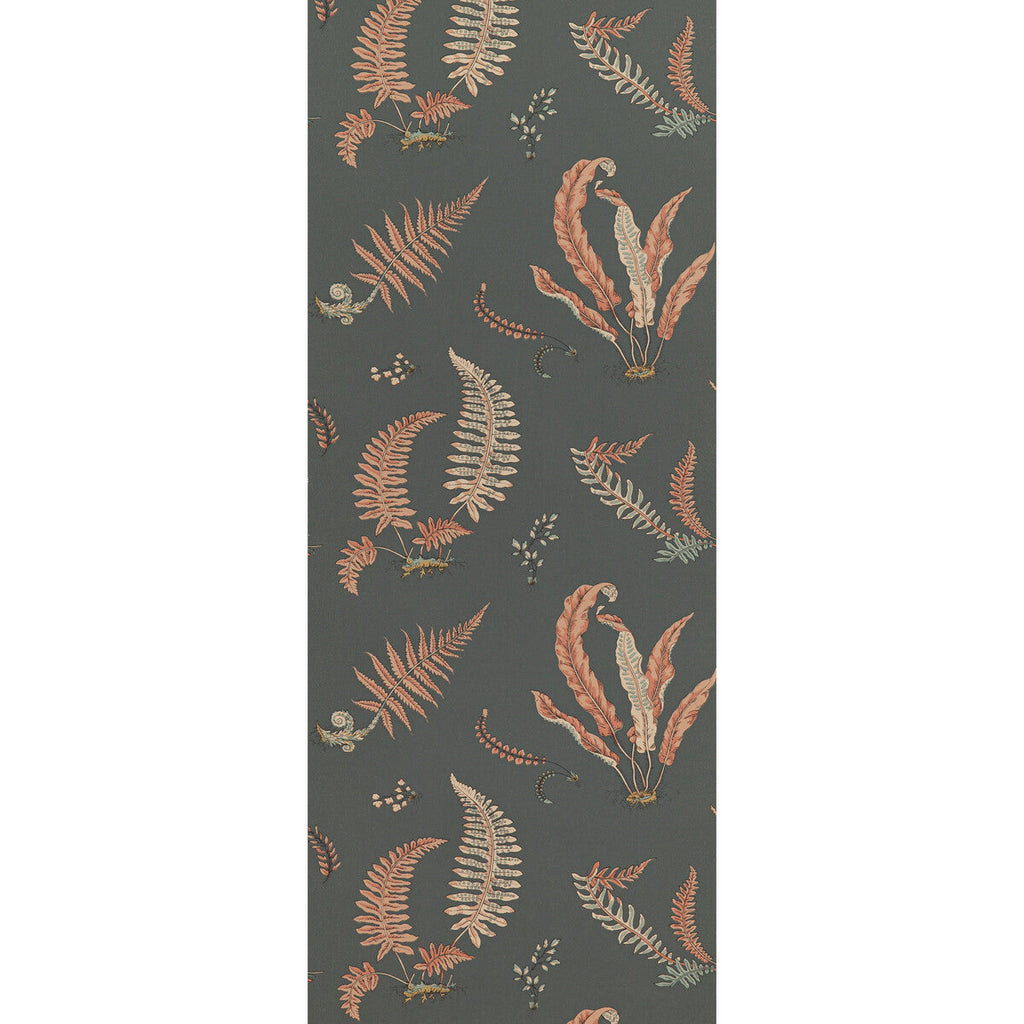 Ferns - Coral/Charcoal  By G P & J Baker | Signature Ii Wallpapers |Botanical & Floral  Wallcovering Print