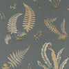 Ferns - Charcoal/Bronze Black By G P & J Baker | Signature |Botanical & Floral  Wallcovering Print
