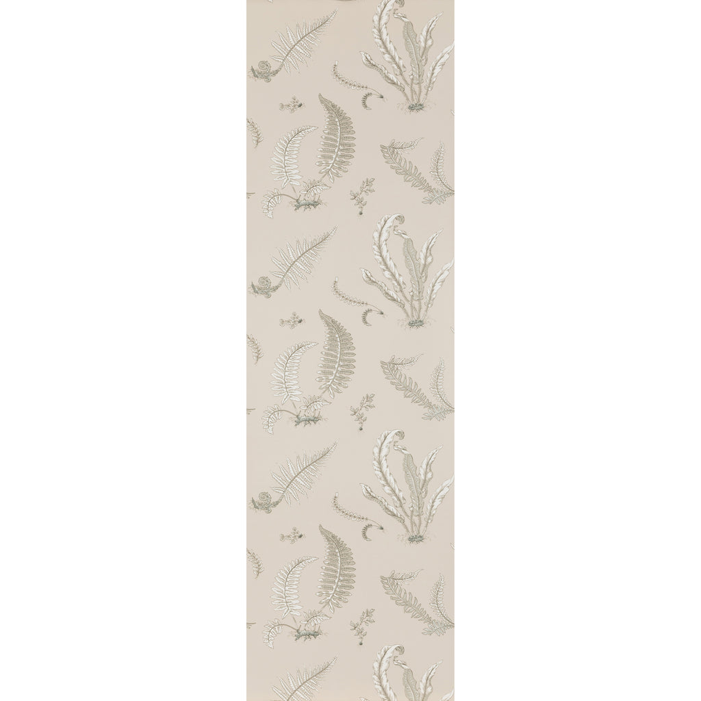 Ferns - Linen Beige By G P & J Baker | Signature |Botanical & Floral  Wallcovering Print