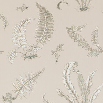 Ferns - Linen Beige By G P & J Baker | Signature |Botanical & Floral  Wallcovering Print