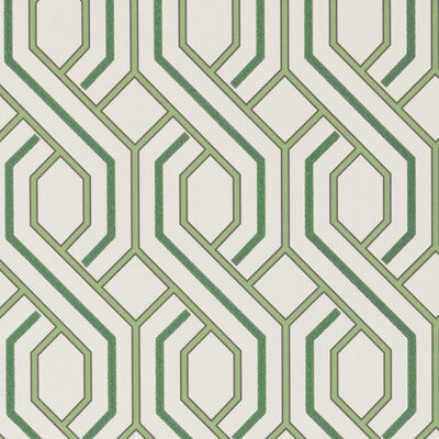 Parterre - Botanical  By G P & J Baker | Signature |Modern Geometric Wallcovering Print
