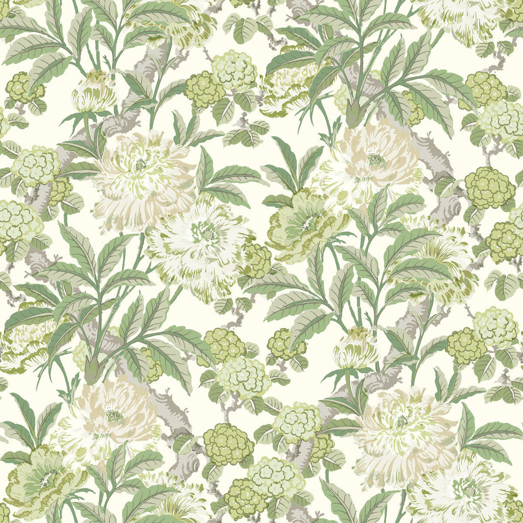Summer Peony - Green Green By G P & J Baker | Ashmore Wallpaper |Botanical & Floral  Wallcovering