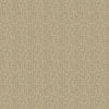 Tilly - Charcoal Brown By G P & J Baker | House Small Prints Wallcovering |  Wallcovering