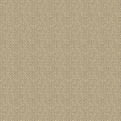 Tilly - Charcoal Brown By G P & J Baker | House Small Prints Wallcovering |  Wallcovering