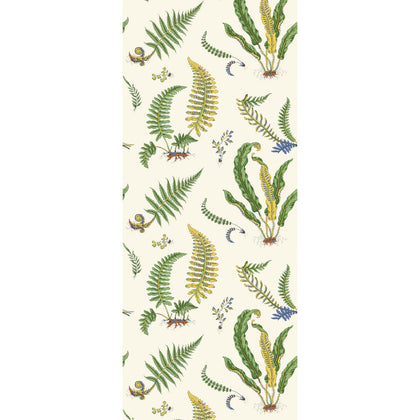 Ferns - Emerald Green By G P & J Baker | Originals Wallcovering |Botanical & Floral  Wallcovering
