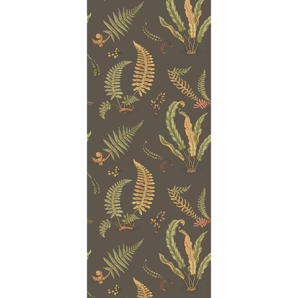 Ferns - Charcoal Black By G P & J Baker | Originals Wallcovering |Botanical & Floral  Wallcovering