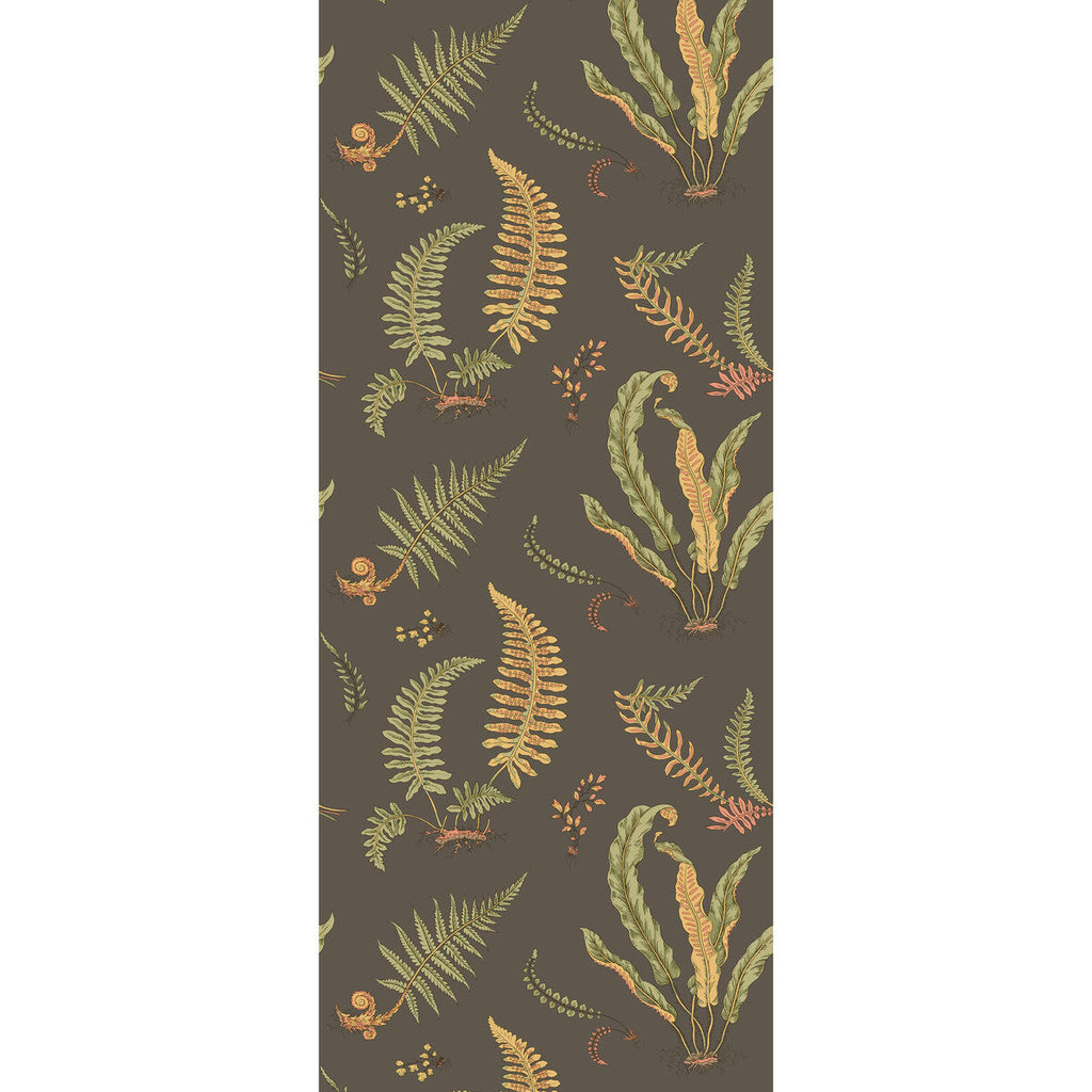 Ferns - Charcoal Black By G P & J Baker | Originals Wallpaper |Botanical & Floral  Wallcovering