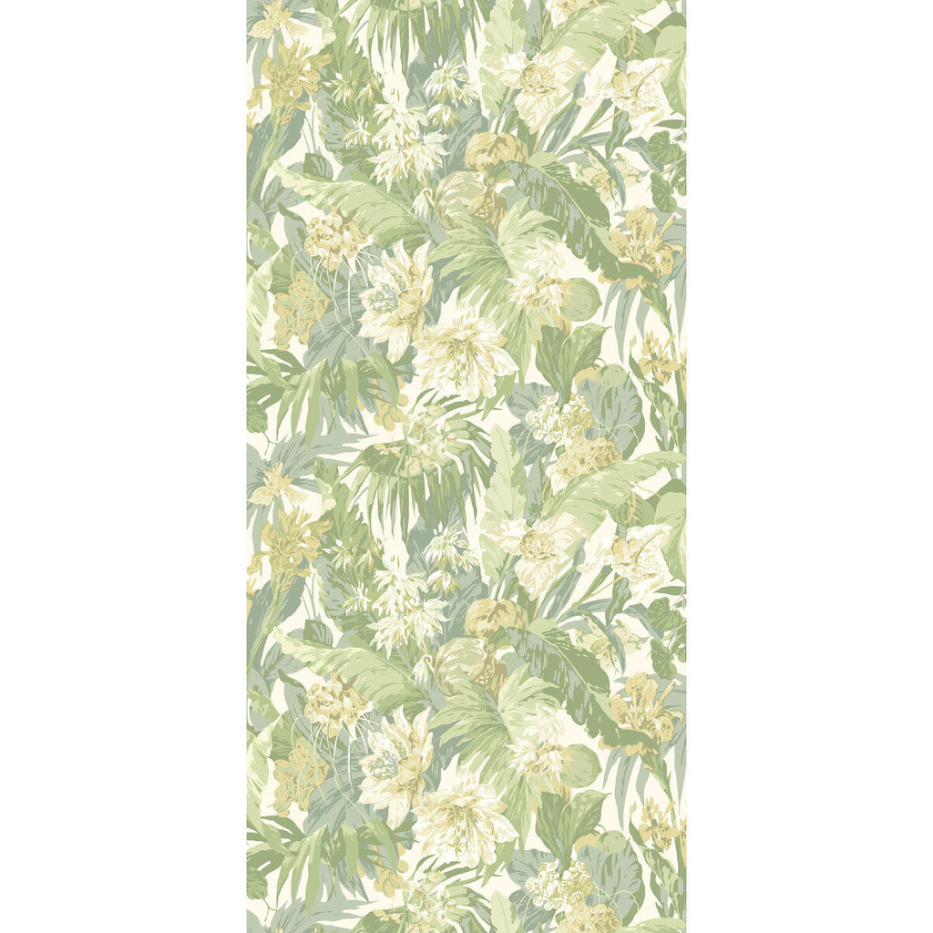 Tropical Floral - Soft Green Green By G P & J Baker | Originals Wallpaper |Botanical & Floral  Wallcovering